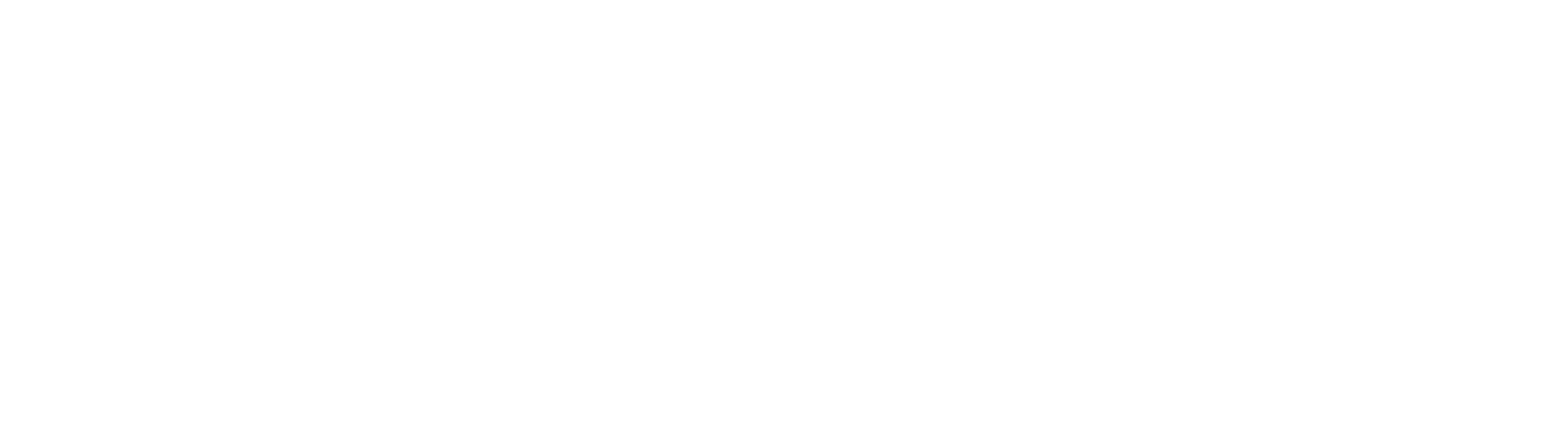 Lighthouz AI